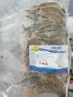 Tôm Đất - Thiên Nhiên